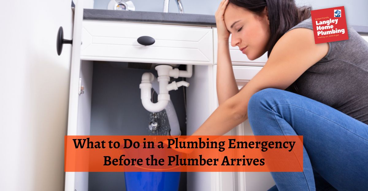 What to Do in a Plumbing Emergency Before the Plumber Arrives